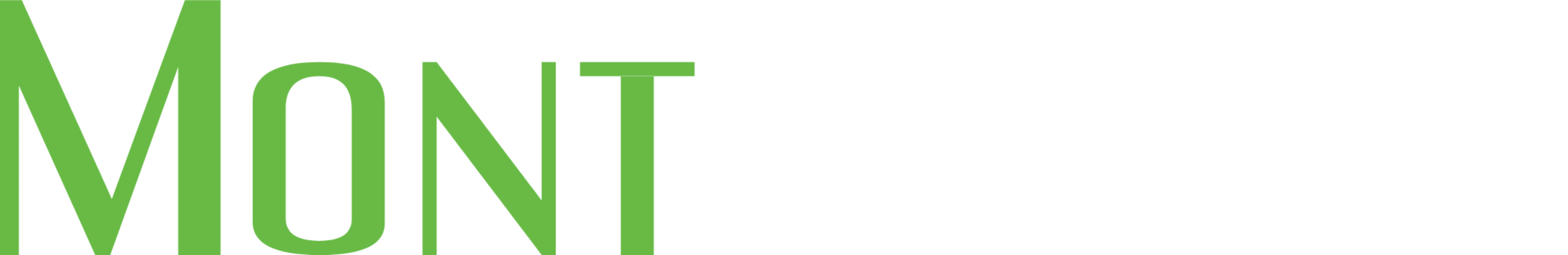 Logo Mont-Design big